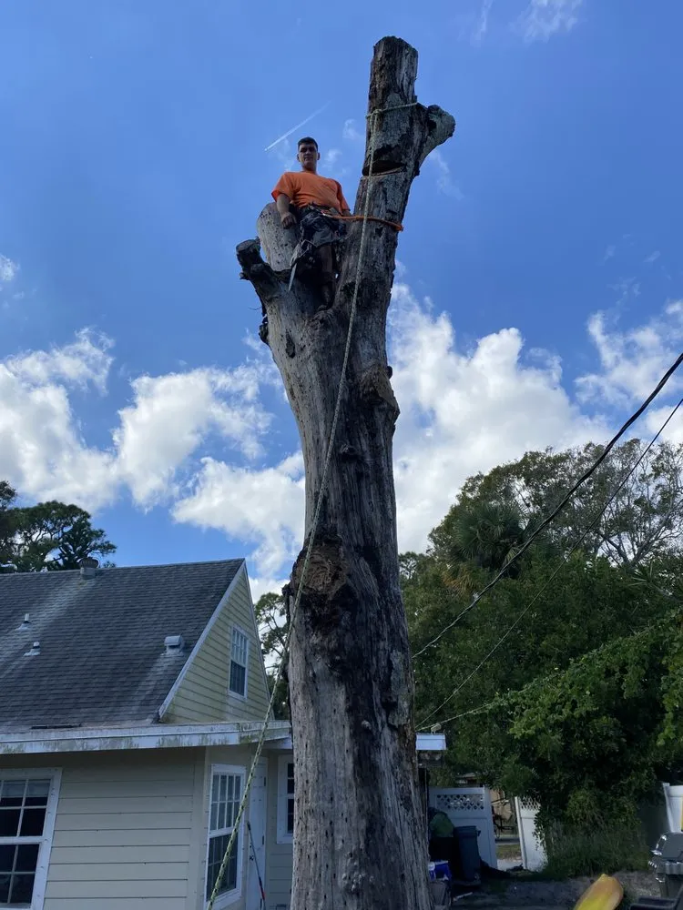 Professional yard cleanup service in Vero Beach, FL - Osteen Properties