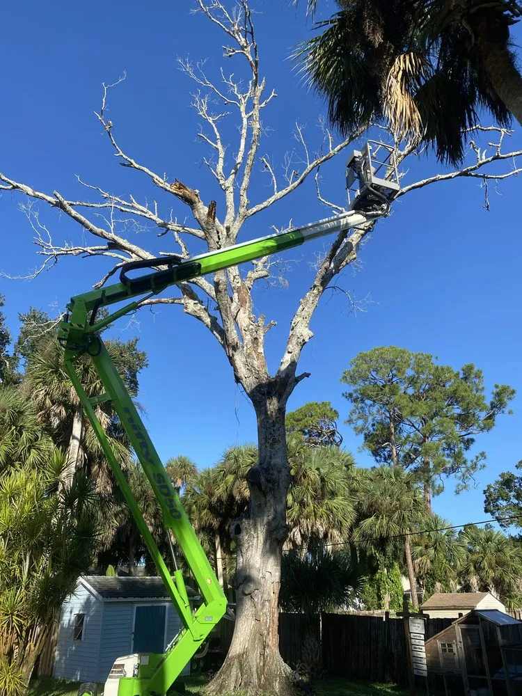 Custom landscape installation near you in Vero Beach, FL by Osteen Properties