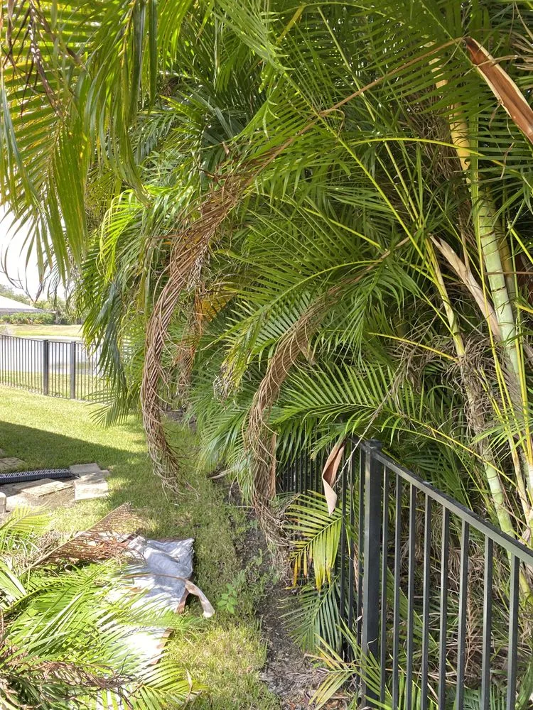 Professional landscape design experts serving Vero Beach, FL - Osteen Properties