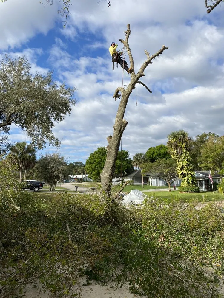 Reliable lawn mowing service in Vero Beach, FL - Osteen Properties