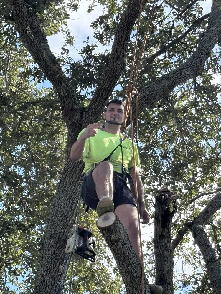 Top-rated landscape installation experts serving Vero Beach, FL - Osteen Properties