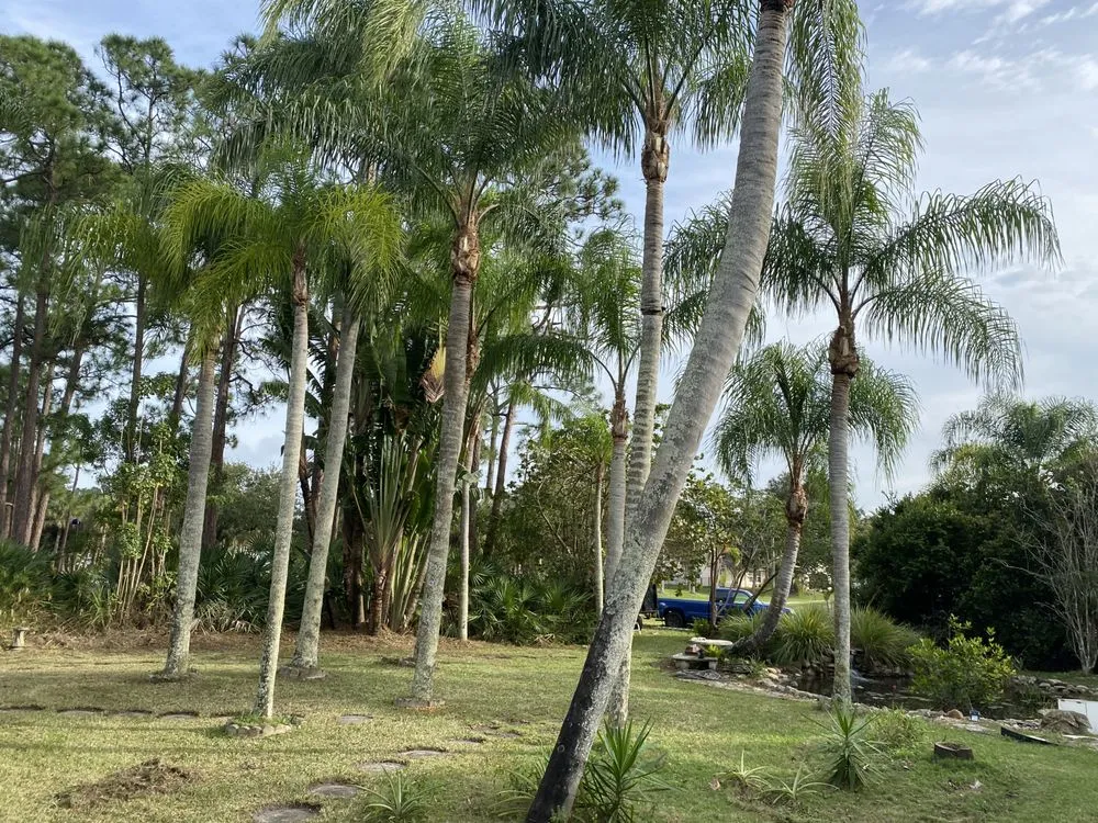 Professional landscaping services for beautiful yards in Vero Beach, FL by Osteen Properties