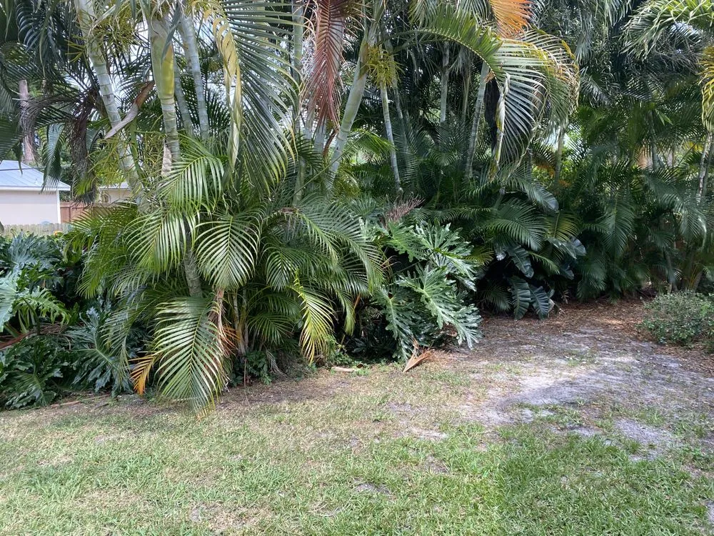 Local landscape installation in Vero Beach, FL - Osteen Properties