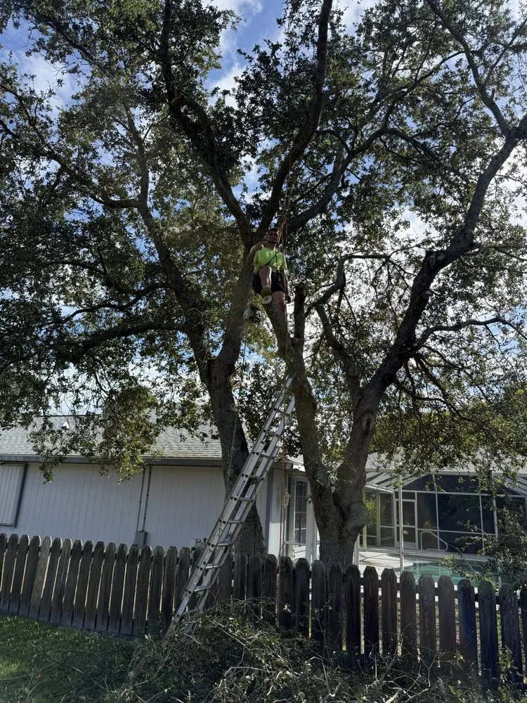 Top-rated lawn mowing service in Vero Beach, FL by Osteen Properties