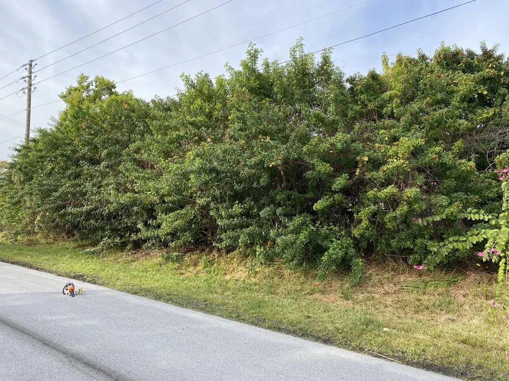 Local yard cleanup service in Vero Beach, FL - Osteen Properties