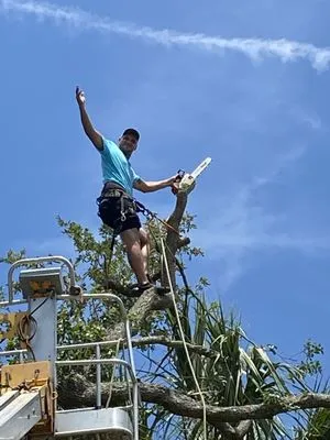 Osteen Properties Logo