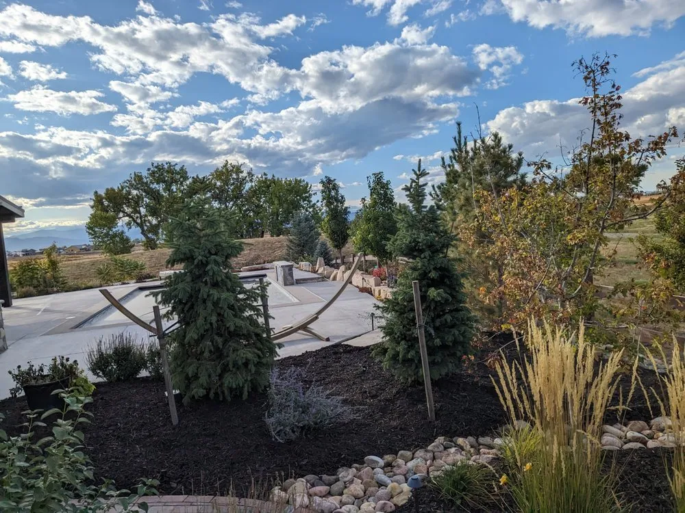 Professional lawn care service for beautiful yards across Wellington, CO - Oster Landscape Irrigation