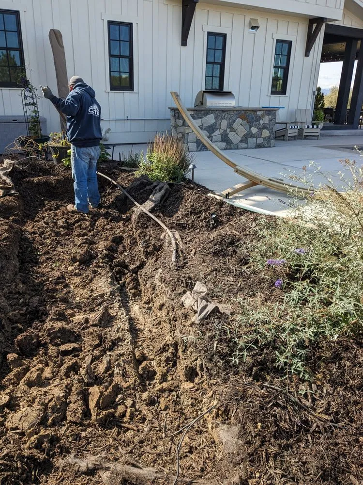 Reliable lawn care service in Wellington, CO - Oster Landscape Irrigation