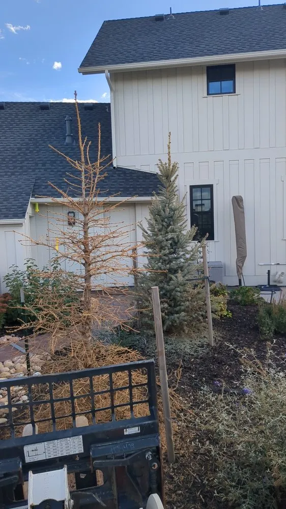 Custom landscape installation in Wellington, CO - Oster Landscape Irrigation