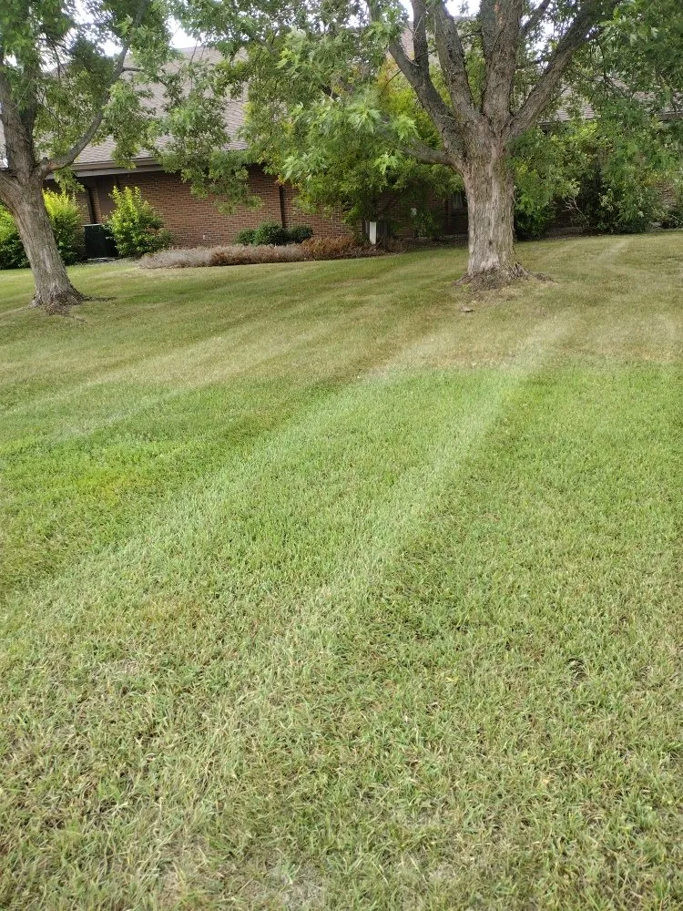 Affordable lawn mowing service experts serving Detroit Lakes, MN - Osterman Lawn Care