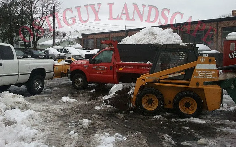 Trusted yard cleanup service in Bedford, MA by Ostiguy Landscape