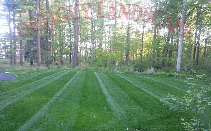 Trusted landscape installation in Bedford, MA by Ostiguy Landscape