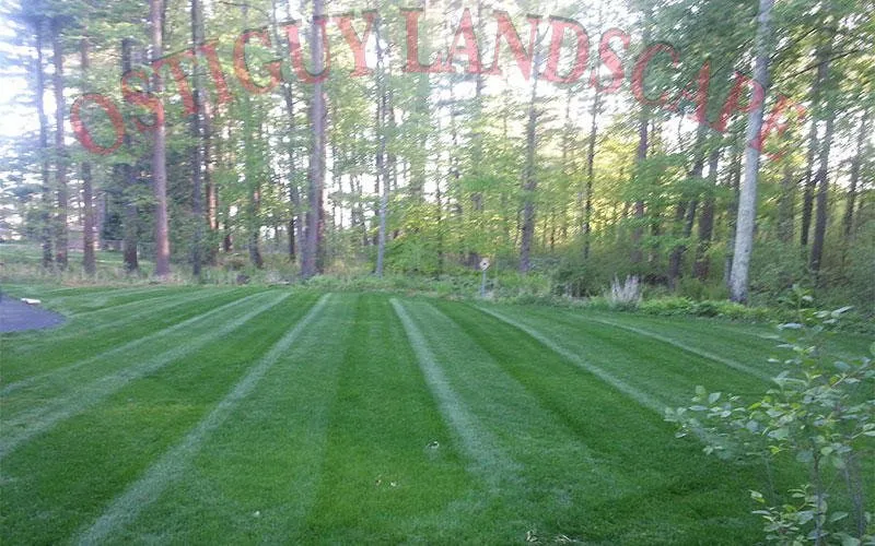 Affordable outdoor landscaping with custom design in Bedford, MA by Ostiguy Landscape