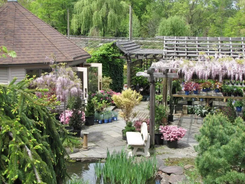 Professional lawn care service in Trenton, NJ by Ostrich Nursery & Landscaping