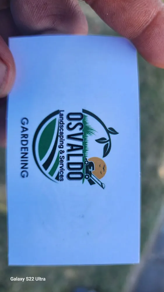 Professional yard cleanup service experts serving Sacramento, CA - Osvaldo Landscaping & Services