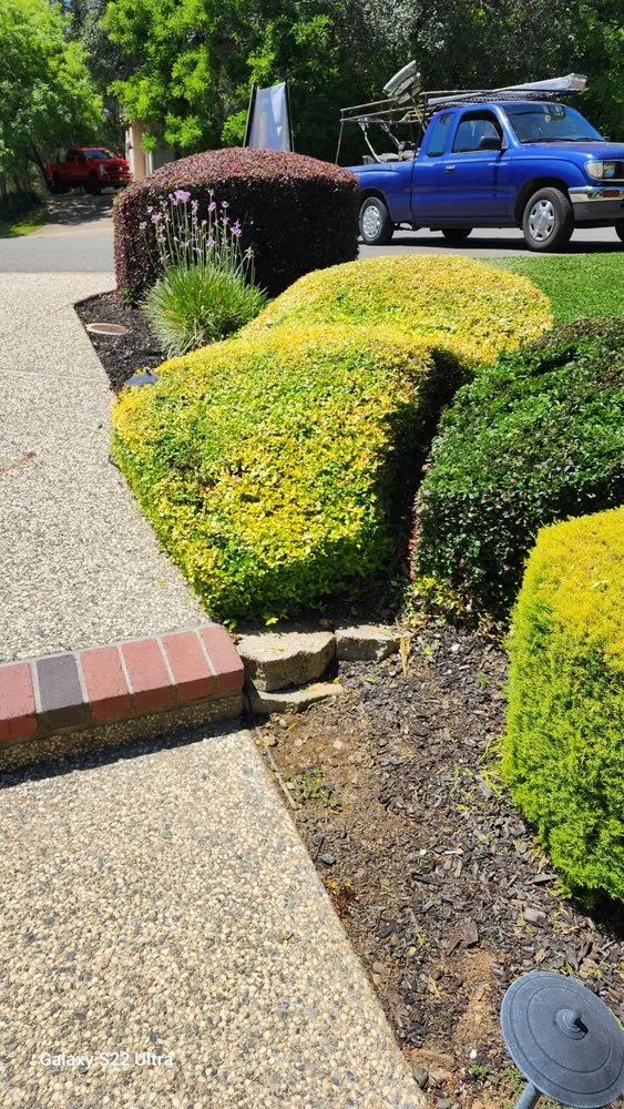 Custom landscape installation for beautiful yards in Sacramento, CA by Osvaldo Landscaping & Services