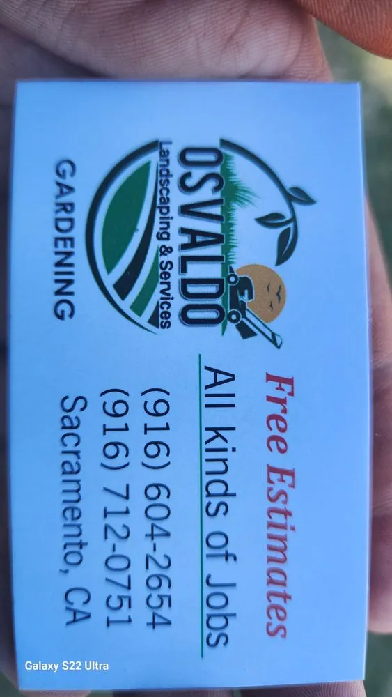 Custom yard cleanup service with custom design in Sacramento, CA by Osvaldo Landscaping & Services