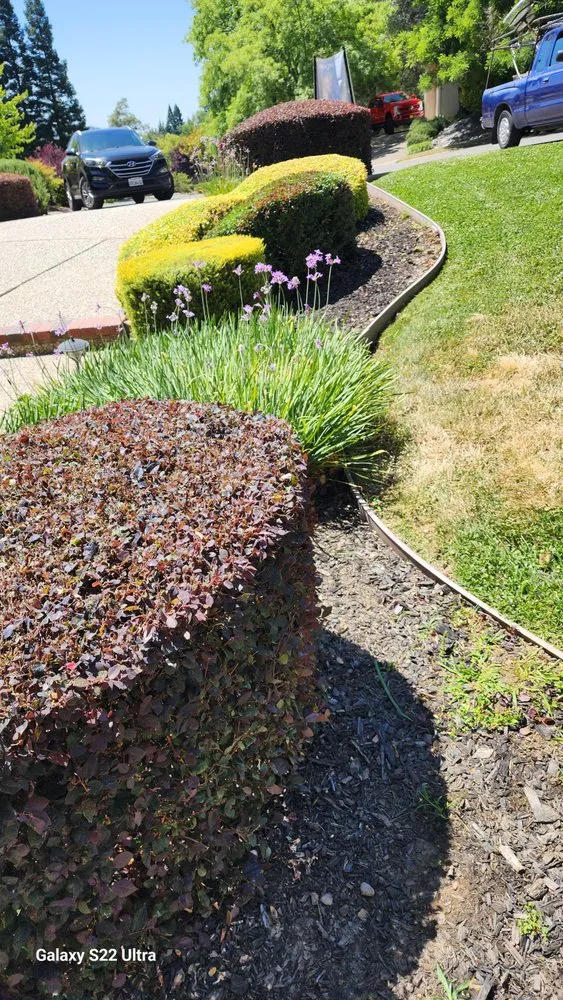 Expert outdoor landscaping in Sacramento, CA by Osvaldo Landscaping & Services
