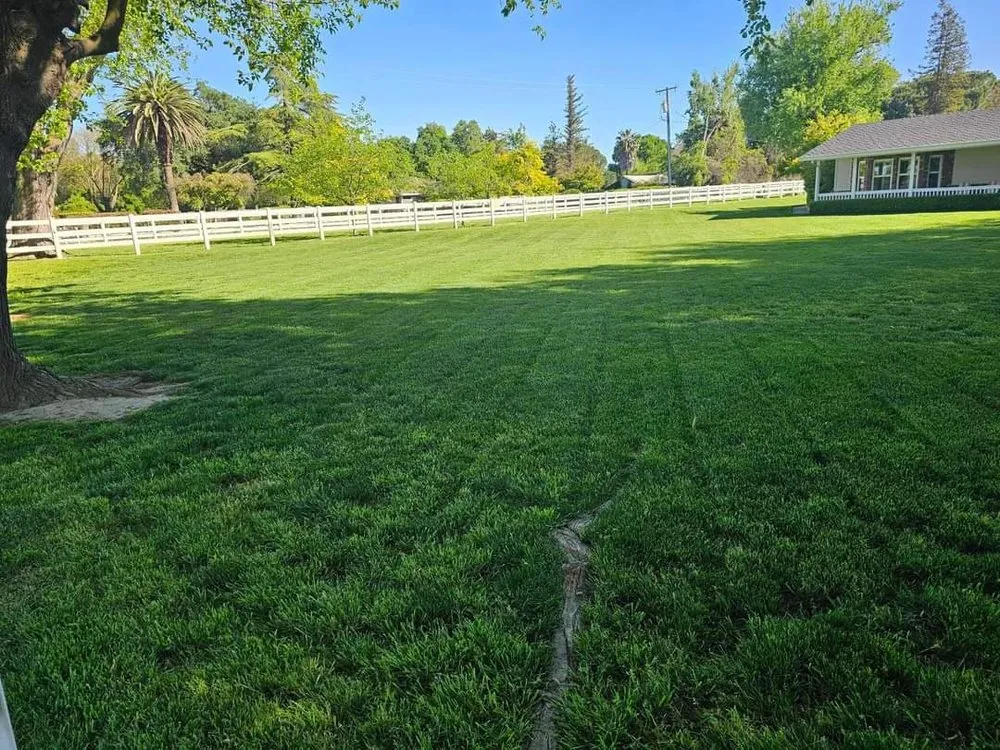 Trusted landscaping services for residential properties across Sacramento, CA - Osvaldo Landscaping & Services