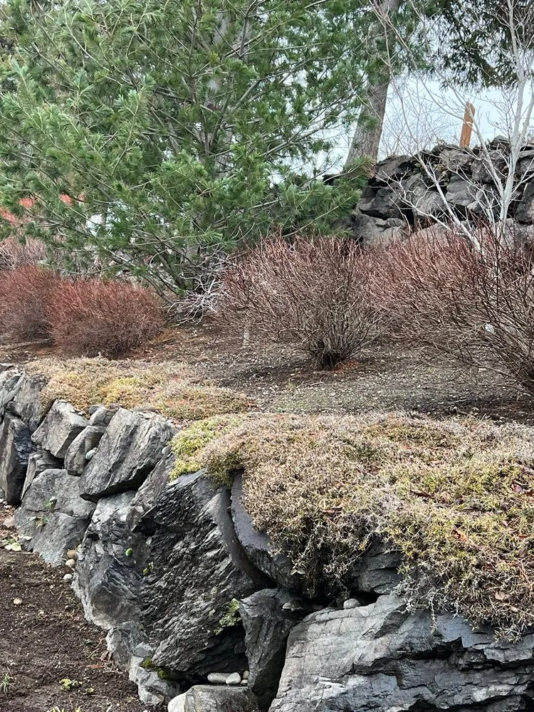 Reliable outdoor landscaping experts serving Renton, WA - Osvaldos Landscaping