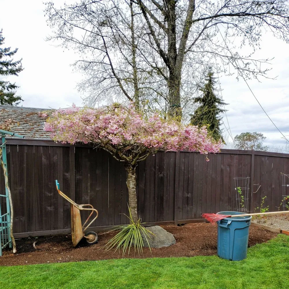 Custom outdoor landscaping for beautiful yards across Renton, WA - Osvaldos Landscaping