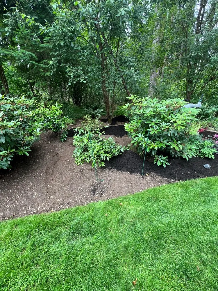 Top-rated residential landscaping in Renton, WA by Osvaldos Landscaping