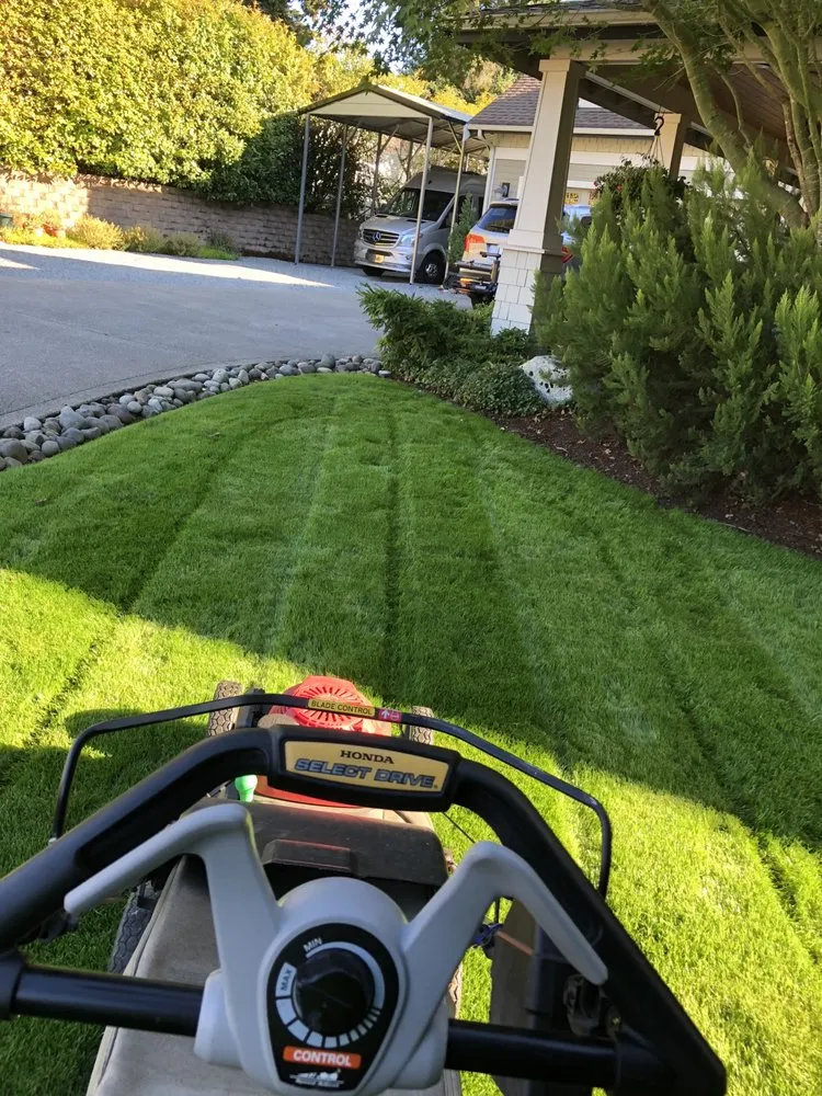 Affordable outdoor landscaping for homes across Renton, WA - Osvaldos Landscaping