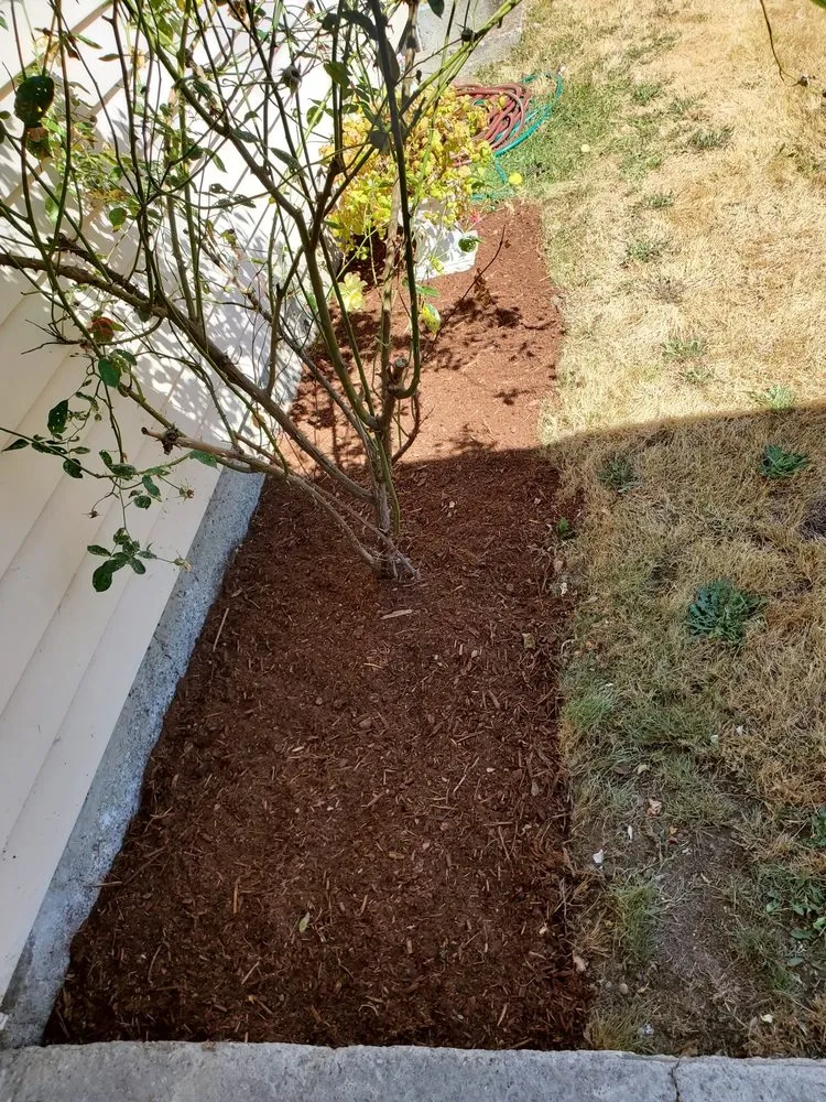 Affordable outdoor landscaping experts serving Renton, WA - Osvaldos Landscaping