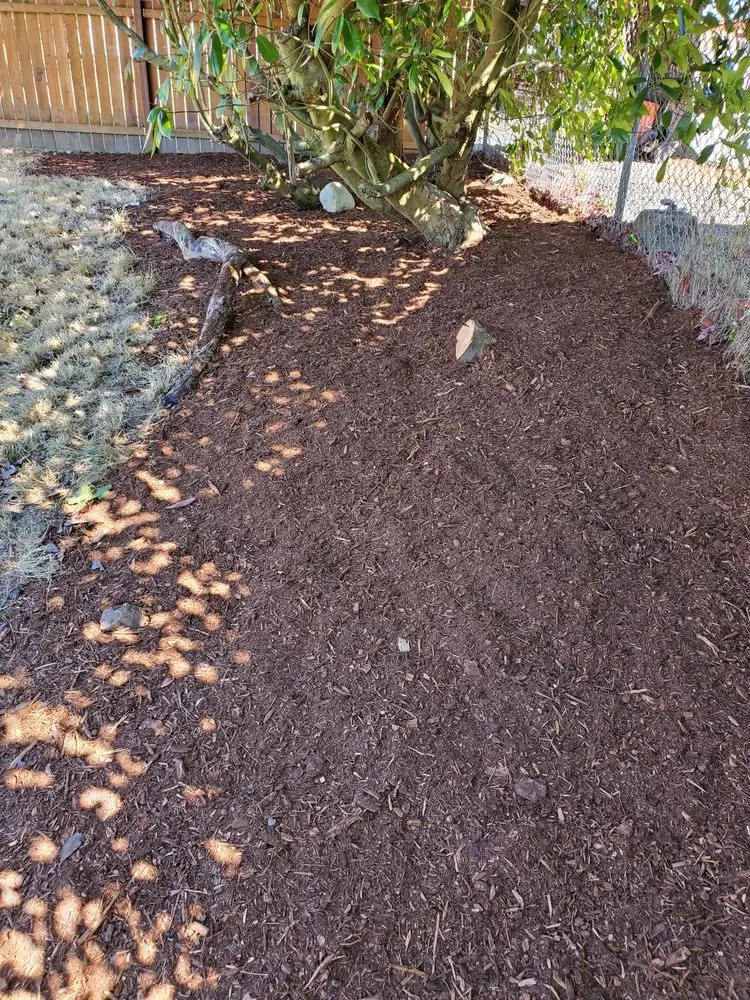 Expert residential landscaping with custom design in Renton, WA by Osvaldos Landscaping