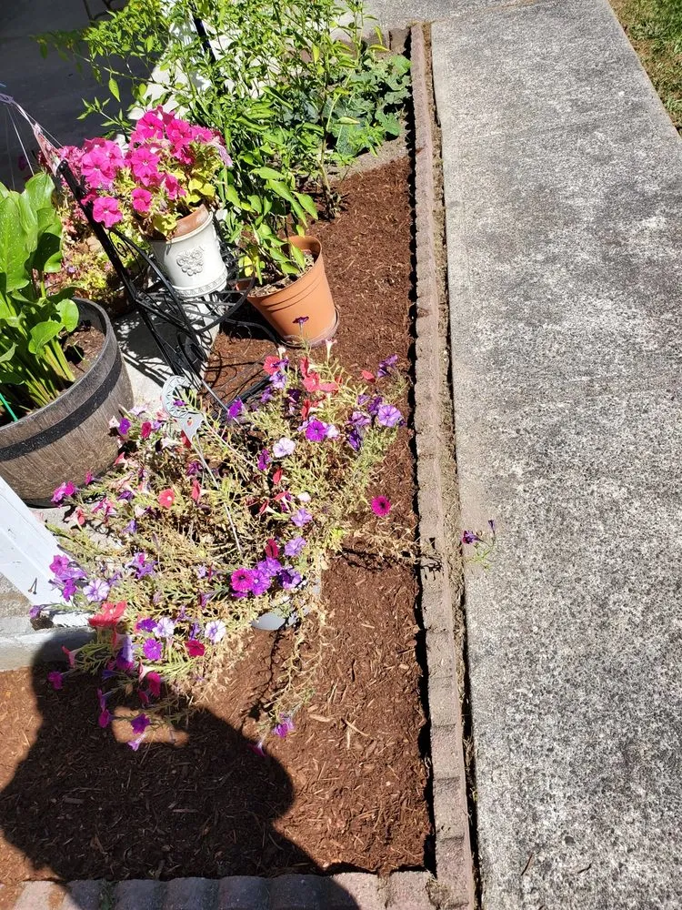 Top-rated landscape installation in Renton, WA by Osvaldos Landscaping