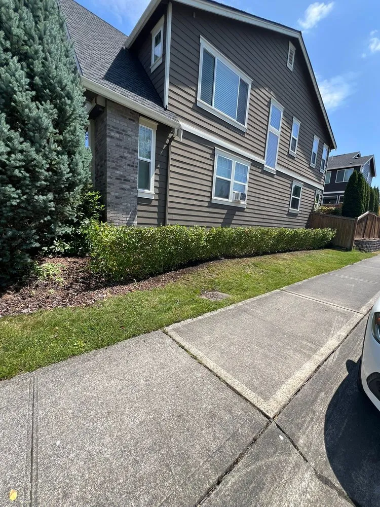 Reliable residential landscaping experts serving Renton, WA - Osvaldos Landscaping