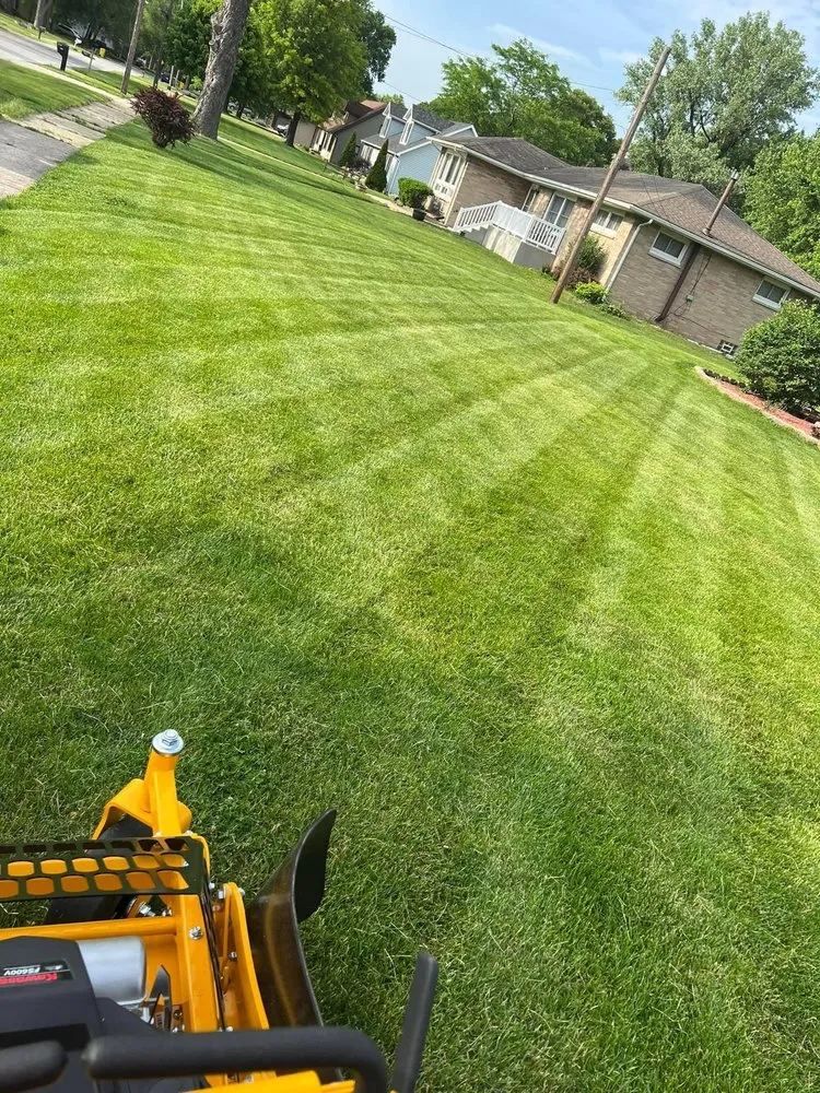 Professional yard cleanup service with custom design in Chicago heights, IL by Osvaldo’s lawn care and lansdcaping.