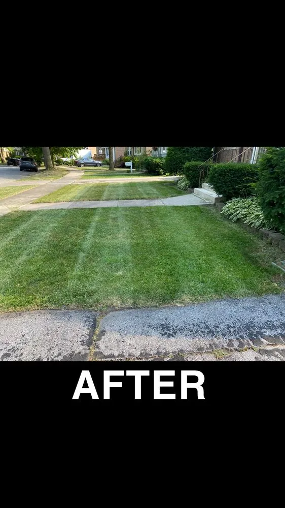 Reliable yard maintenance experts serving Chicago heights, IL - Osvaldo’s lawn care and lansdcaping.