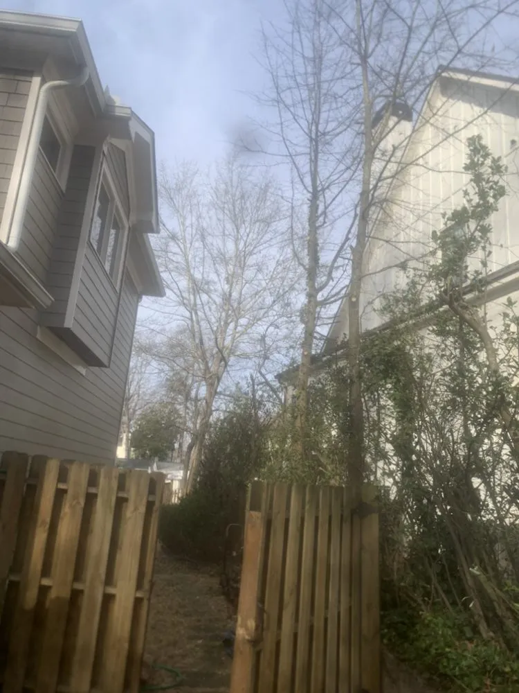 Custom landscape installation in Atlanta, GA by Osvin Landscaping