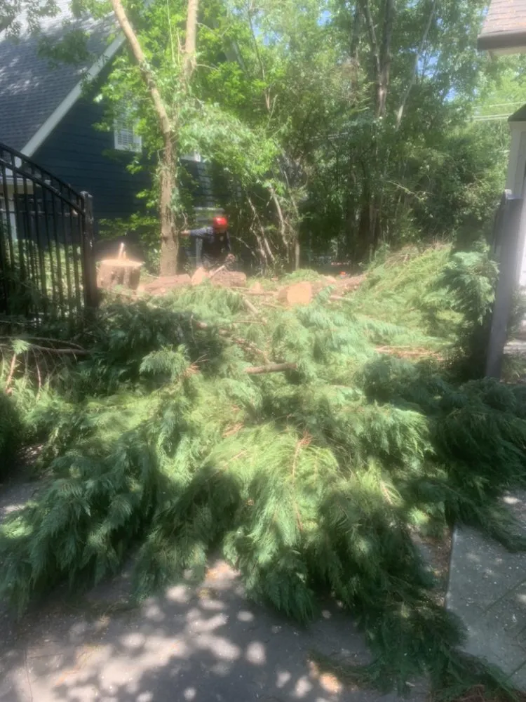 Reliable lawn mowing service experts serving Atlanta, GA - Osvin Landscaping