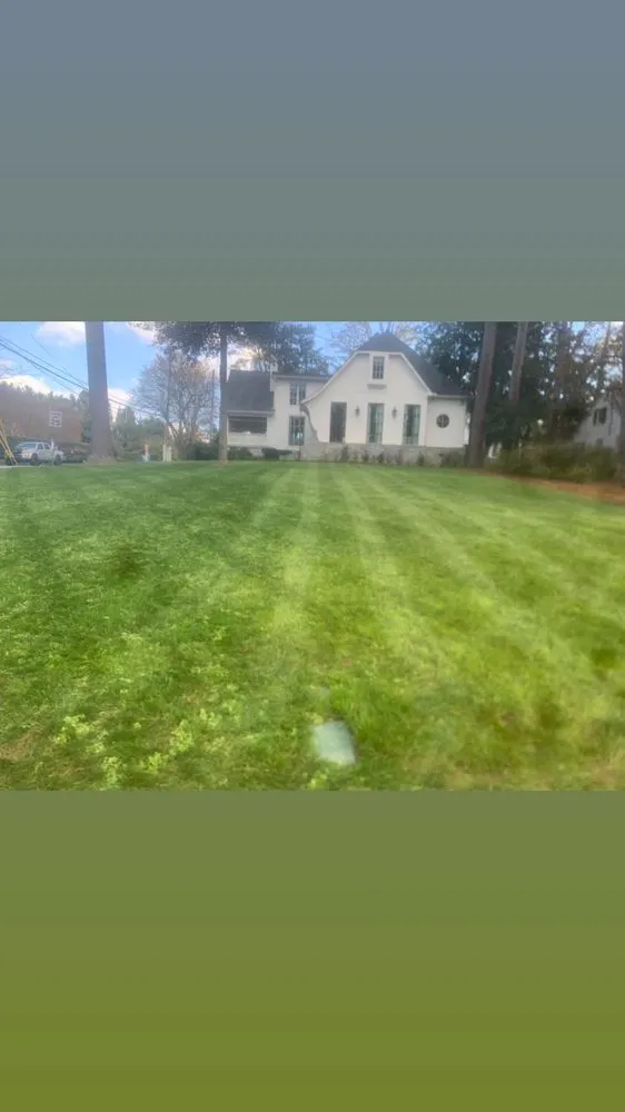 Trusted landscape design in Atlanta, GA by Osvin Landscaping