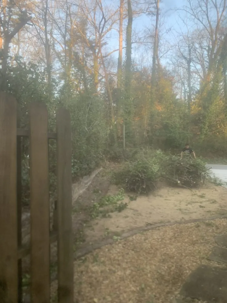 Professional outdoor landscaping for beautiful yards across Atlanta, GA - Osvin Landscaping