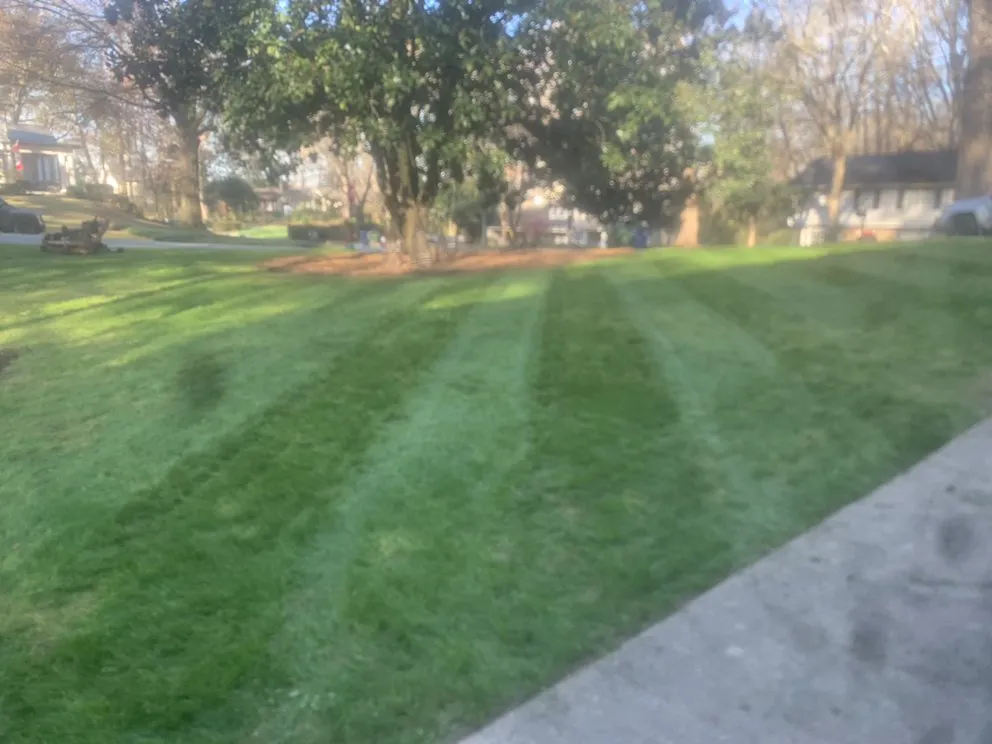 Local landscaping services in Atlanta, GA by Osvin Landscaping