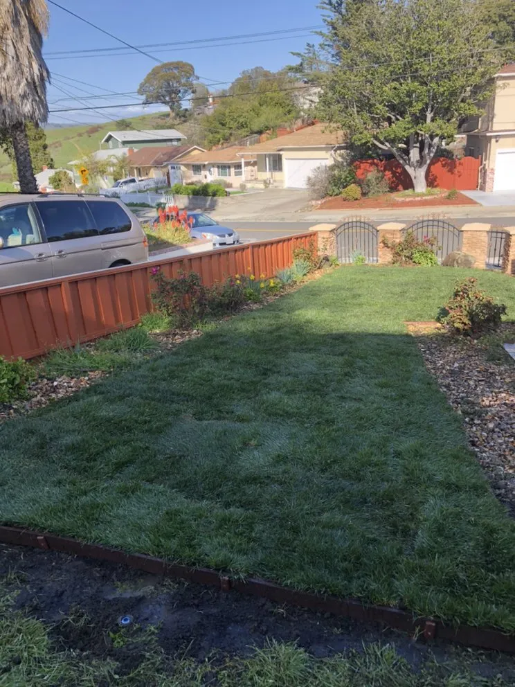 Affordable yard cleanup service in Hayward, CA - Oswald Sprinkler Repair
