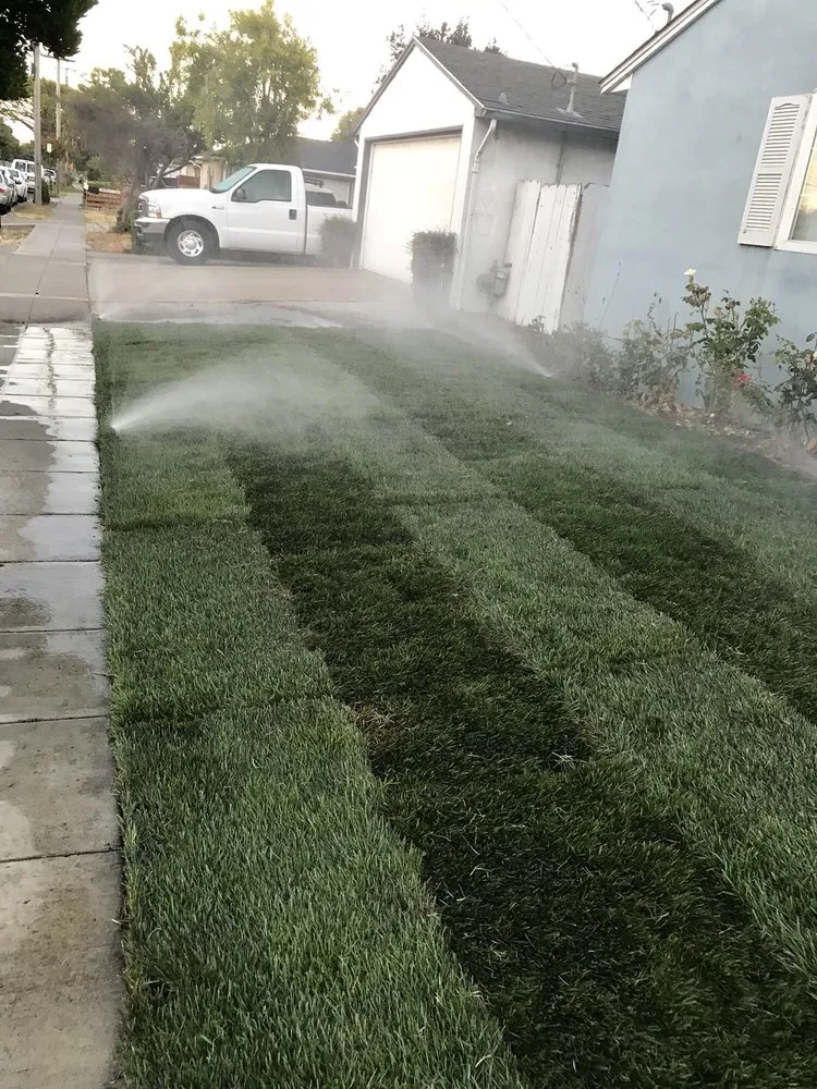 Professional landscaping services experts serving Hayward, CA - Oswald Sprinkler Repair