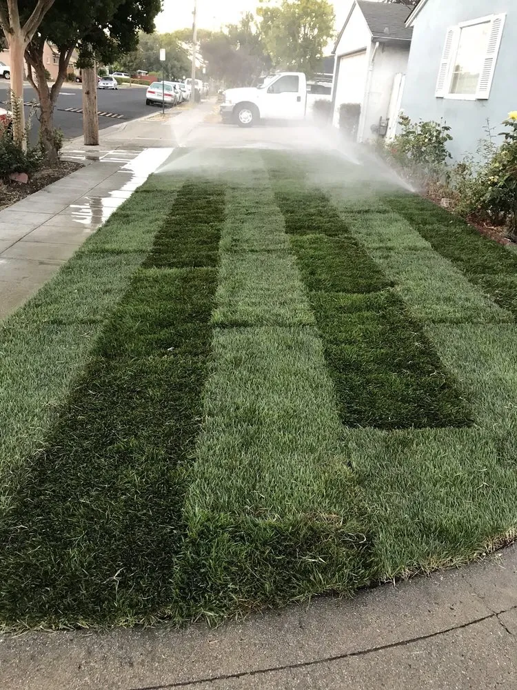 Reliable lawn mowing service experts serving Hayward, CA - Oswald Sprinkler Repair