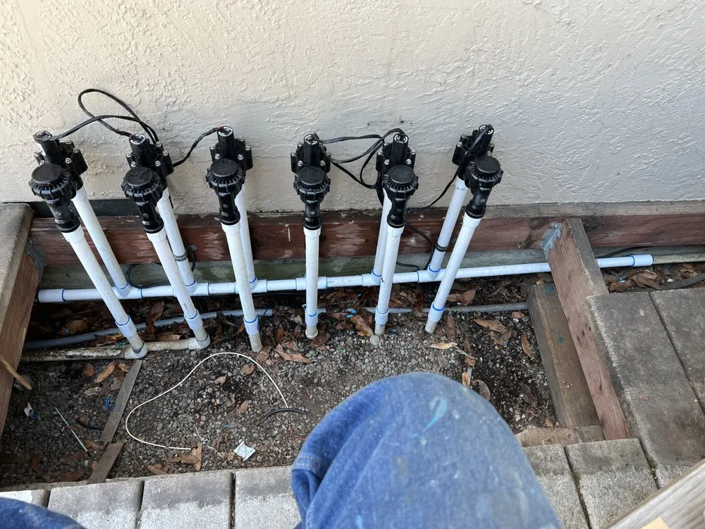 Local yard cleanup service for residential properties across Hayward, CA - Oswald Sprinkler Repair
