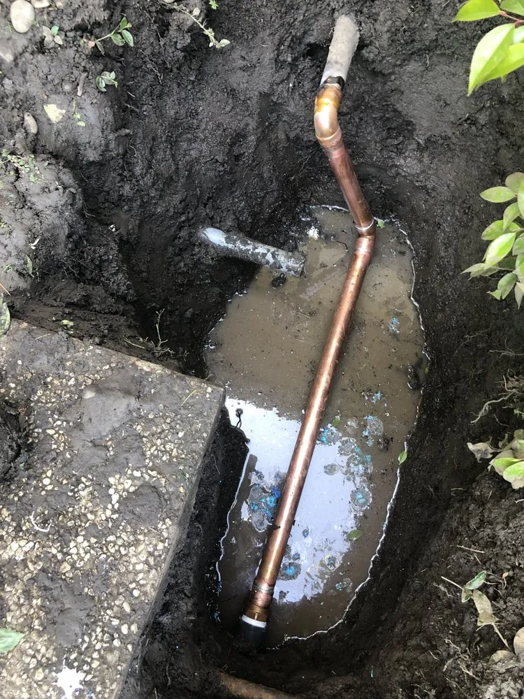 Professional yard cleanup service in Hayward, CA - Oswald Sprinkler Repair