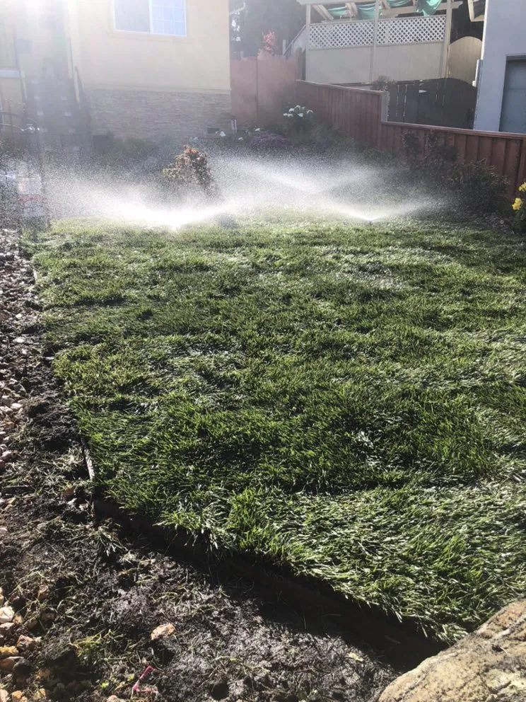 Reliable outdoor landscaping experts serving Hayward, CA - Oswald Sprinkler Repair