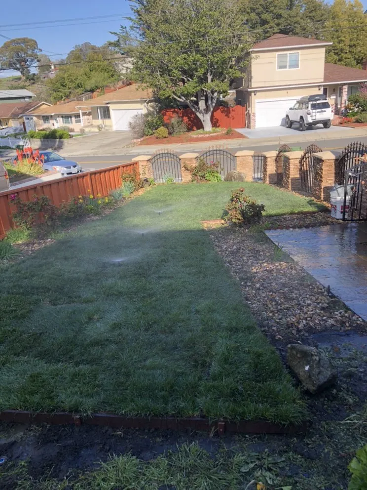 Local landscaping services for year-round maintenance in Hayward, CA by Oswald Sprinkler Repair