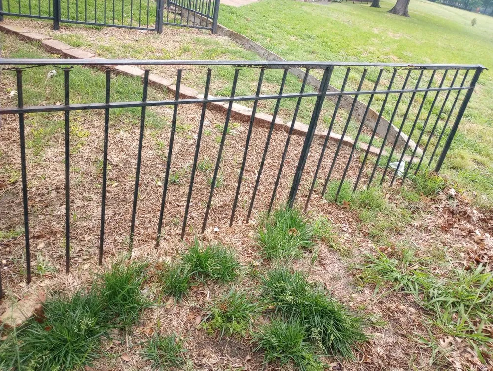 Top-rated yard cleanup service in Dallas, TX by Oswaldo Jiron Landscaping Service