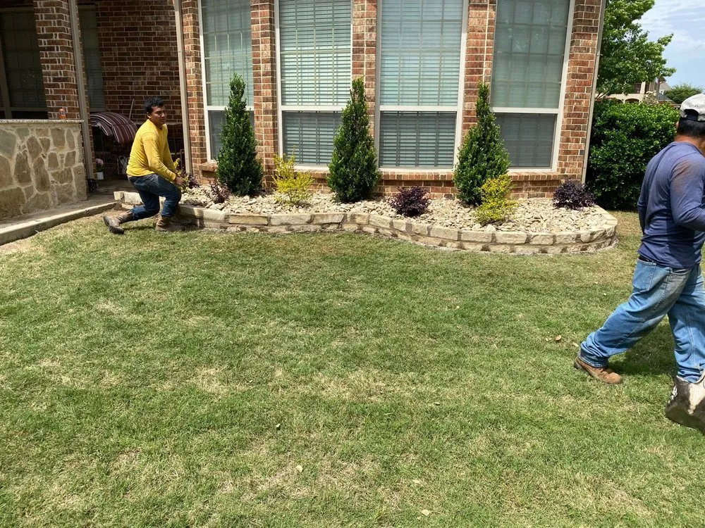Professional landscape installation for beautiful yards across Dallas, TX - Oswaldo Jiron Landscaping Service