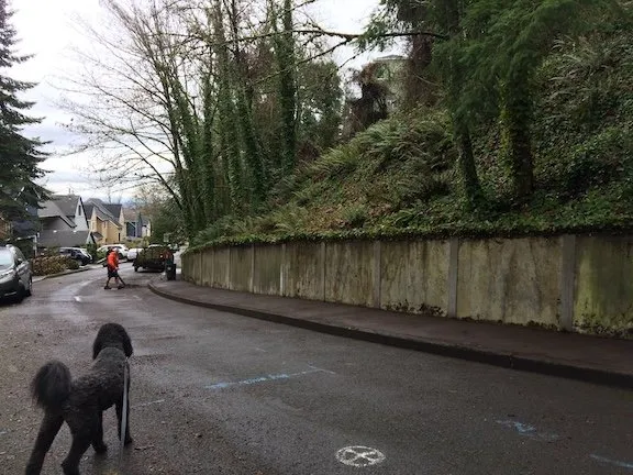 Expert landscape design in LAKE OSWEGO, OR by Oswego Yard Care