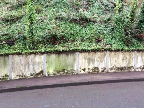 Affordable landscape installation experts serving LAKE OSWEGO, OR - Oswego Yard Care