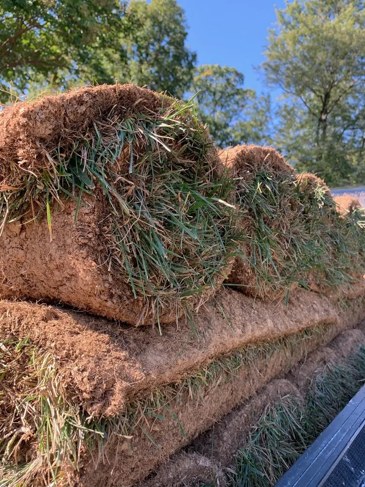 Custom landscape installation experts serving Silver Spring, MD - Otego Valley Landscaping